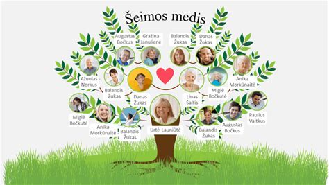 Schema: Seilių šeimos medis