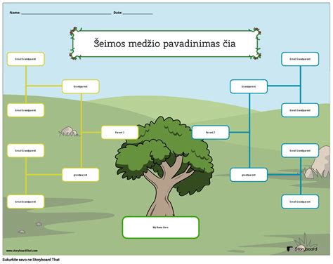 Evoliucijos medžio schema
