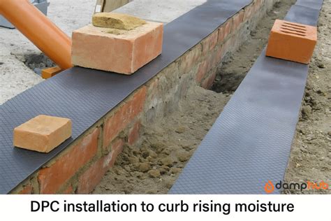 Klinikų tinklas CLINIC | DPC