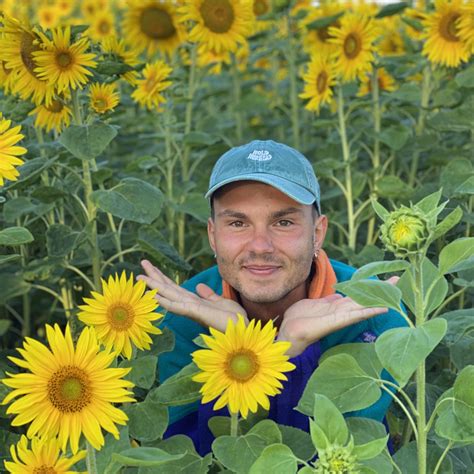 Iliustracija apie prieraišumo stilius