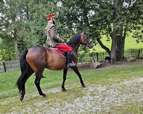 vaikas jojantis ant žirgo su jojimo batais