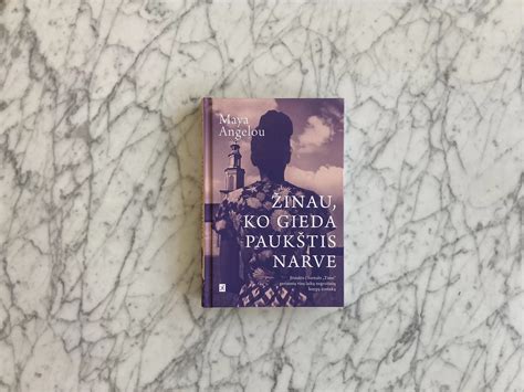 Sveikas paukštis narve