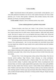 vaiko raidos stebėjimas