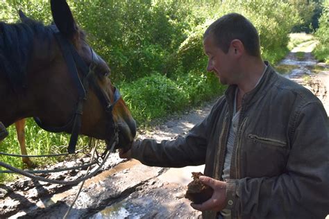 arklys ir žmogus bendrauja levadoje