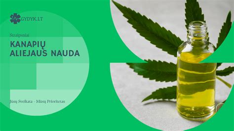 Infografika apie kanapių aliejaus naudą