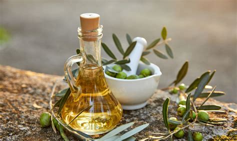 Schema, kaip alyvuogių aliejus veikia smegenų vystymąsi