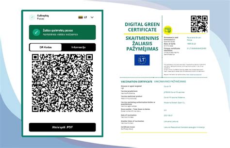 Simbolinis Europos skaitmeninio žaliojo pažymėjimo atvaizdavimas