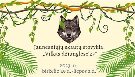 schema: skautų stovyklos veiklos