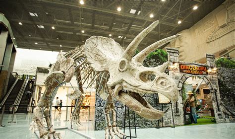 Dinozaurų pasaulis prieš milijonus metų