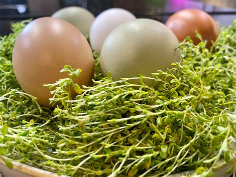 Vaikas su lipdukais ant savo drausmės lentelės