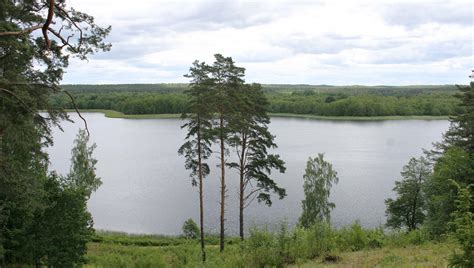 Ladakalnio panorama
