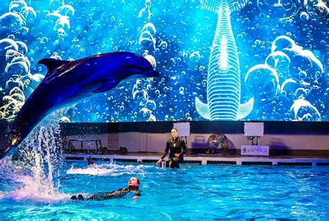 Delfinų pasirodymas Lietuvos jūrų muziejuje