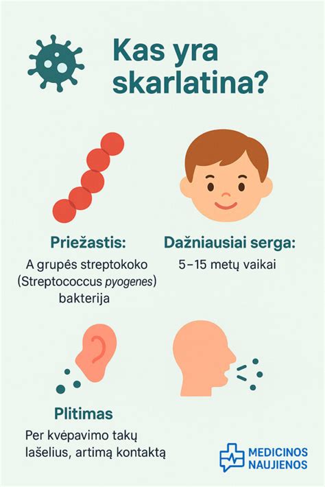 Scheminis A grupės streptokoko perdavimas