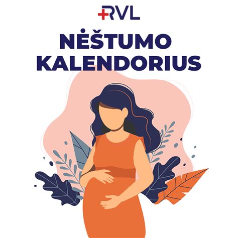 Vaizdas, iliustruojantis skirtingus nėštumo trimestrus