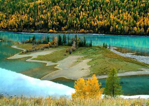 Sibiro gamta, taiga