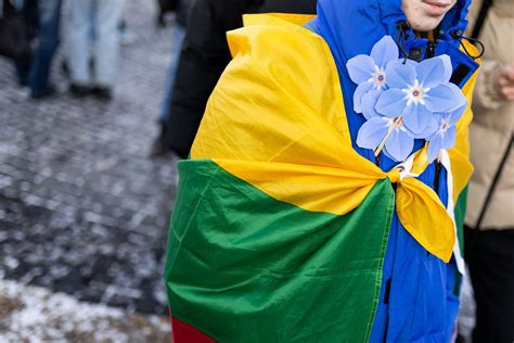 simbolis neužmirštuolė ir Lietuvos vėliavėlė