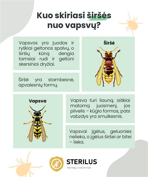 Bičių, vapsvų ir širšių įgėlimų skirtumai