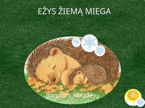 Ežys žiemą