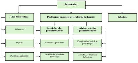 Schema: Socialinės globos paslaugų kokybės vertinimo kriterijai