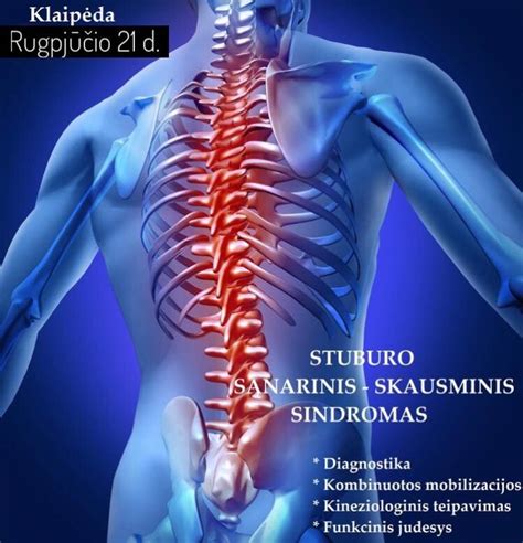 stuburo diskų degeneracija schema