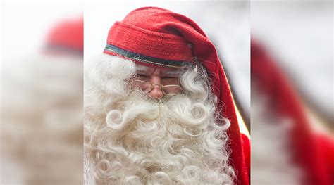 Įvairūs audinio personažai: Kalėdų senelis, elnias