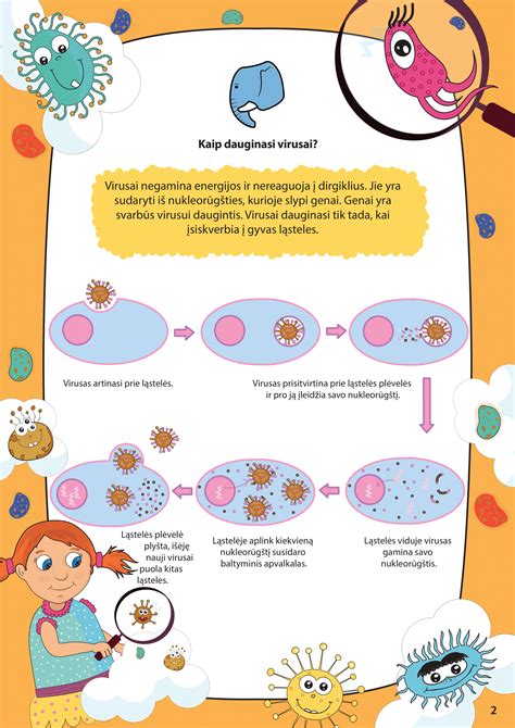 Schema, skirianti virusus ir bakterijas