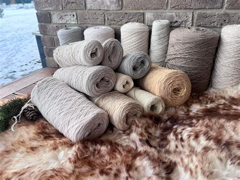 Avies ir ėriuko nuotrauka