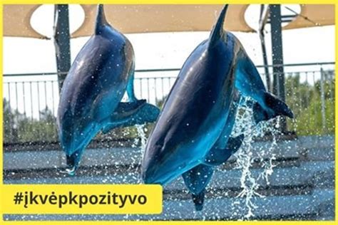 Delfinų ir jūrų liūtų baseinai