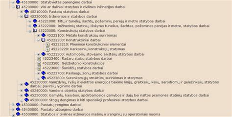 BVPŽ sistemos struktūra