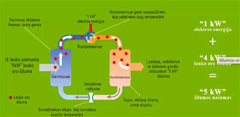 Schema, iliustruojanti nosies irigatoriaus ir aspiratoriaus veikimo principus