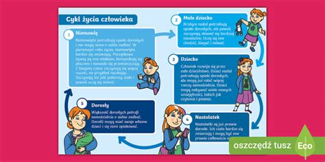 Infografika: Gero mokytojo savybės