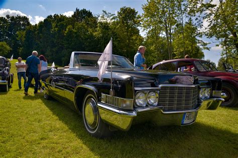 Senovinių lietuviškų vardų medžio pavaizdavimas
