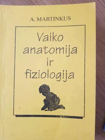 Vaiko anatomija: spermatozoidų kelias