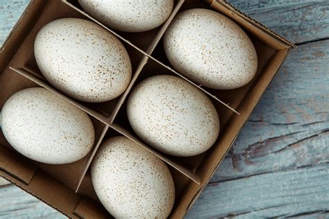 Ančių kiaušinių palyginimas su vištų kiaušiniais