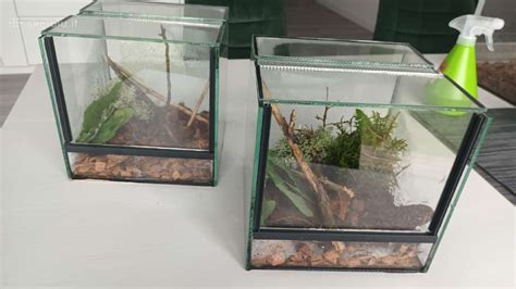 Barzdotosios agamos terariumas su apšvietimu ir šildymu