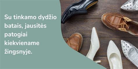 Avalynės dydžių ir tipų įvairovė