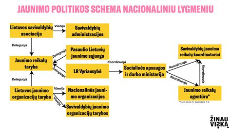 Jaunimo politikos įstatymas Lietuvoje