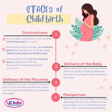 schema of childbirth stages