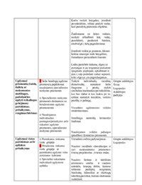 Emocinių etapų schema tėvams, auginantiems specialių poreikių kūdikį