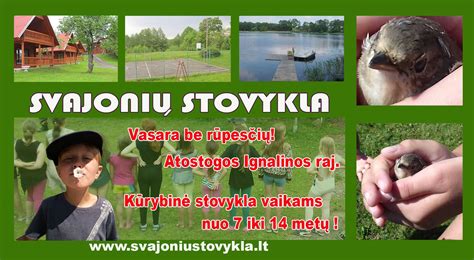 Stovykla 