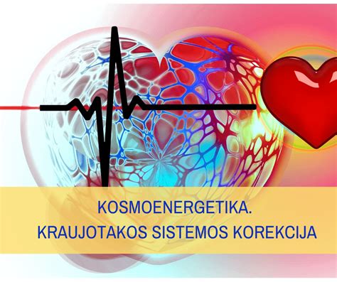 schematinis vaisiaus kraujotakos ir širdies vystymasis