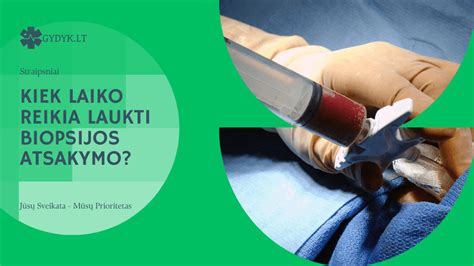 Raumenų biopsijos schema