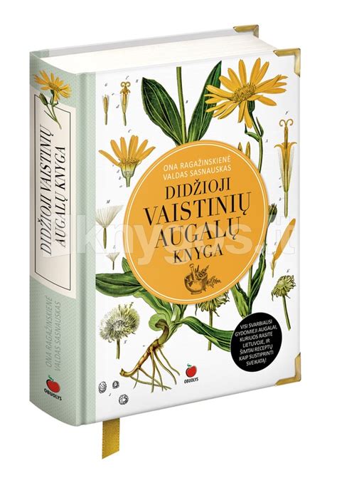 Vaistinių augalų rinkinys vaikų arbatoms