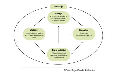 Schema, iliustruojanti emocijų patvirtinimą ir validavimą