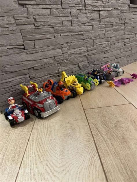 Paw Patrol herojai, gelbstintys situaciją