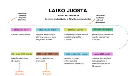 Laiko juosta su svarbiausiais įvykiais Baby P byloje