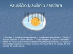 A klasės kiaušinio sandara