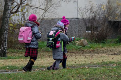 Statistika apie vaikų, patenkančių į globos namus, priežastis