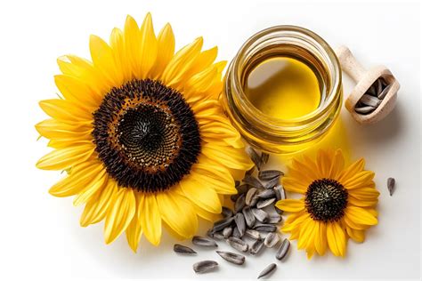 Sojų ir saulėgrąžų aliejaus nauda organizmui