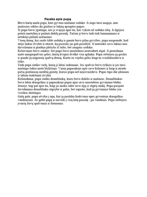 Vaizdžiai iliustruota pasaka apie berną ir stebuklingą birbynę